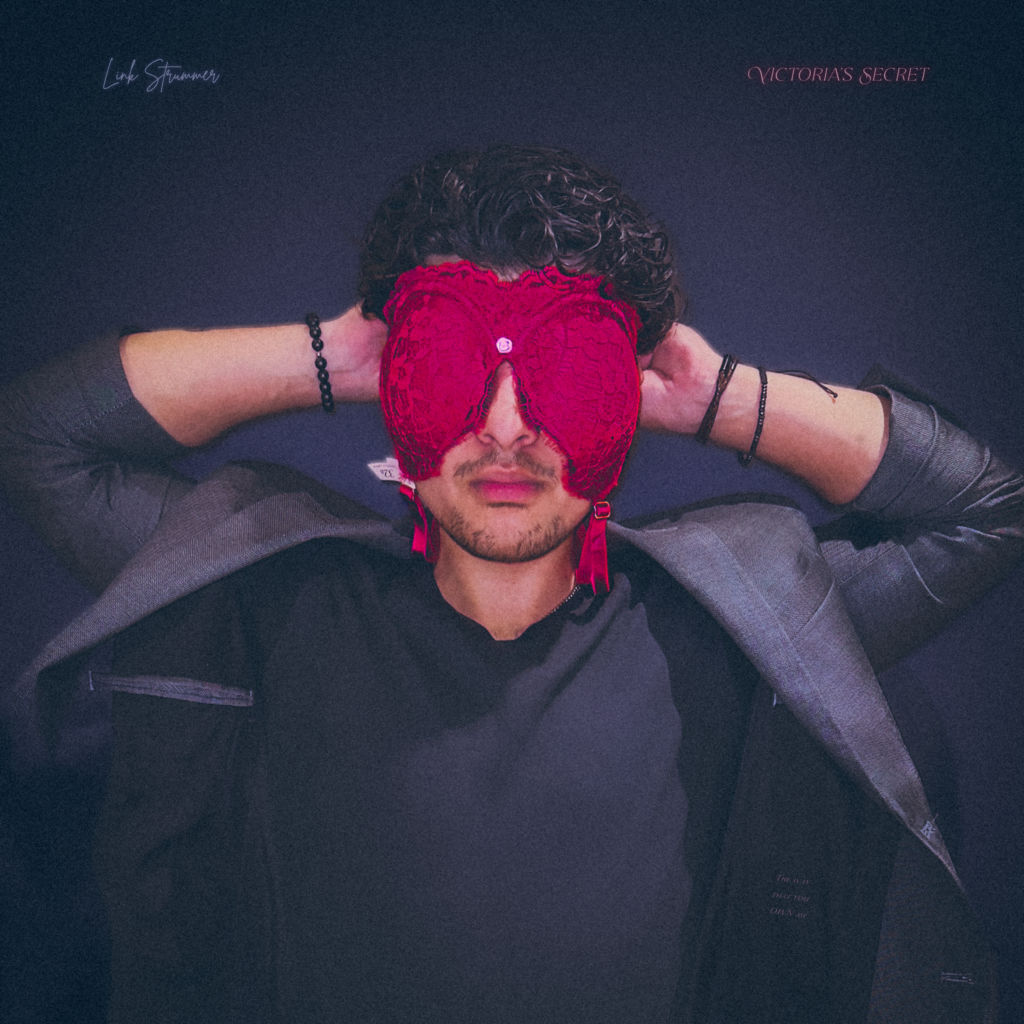 Victorias Secret cover art